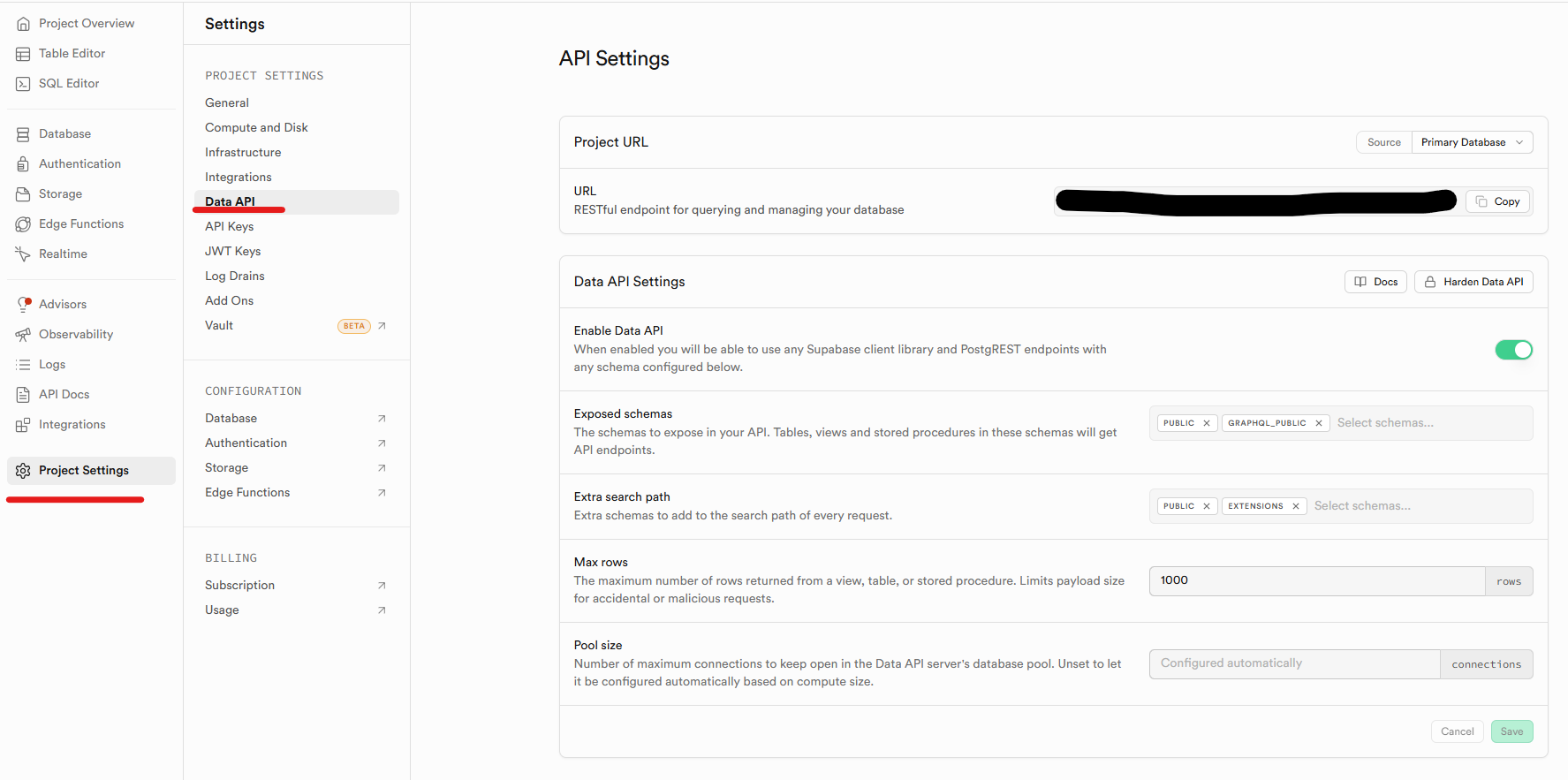 Project Settings > Data API